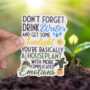 May include: White sticker with a blue, green, and yellow design. The sticker says "Don't forget: Drink Water and get some Sunlight. You're basically a houseplant with more complicated emotions."