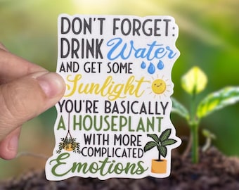 Plant lover sticker, don’t forget to drink water, and get some sunlight you are basically a houseplant, plant mom, plant sticker