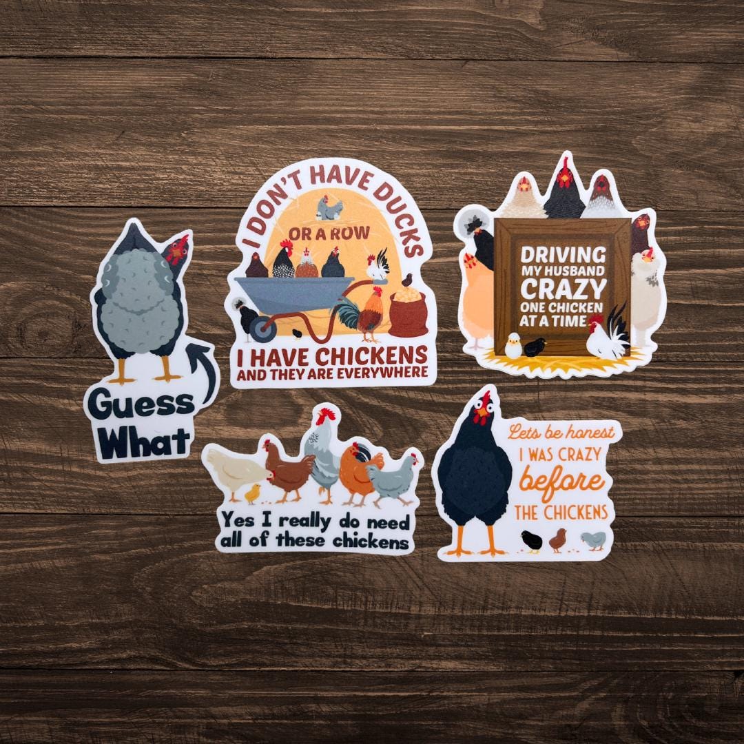 Rotating Chicken Sticker Funny Chicken Sticker Set of 5 Great for Chicken Lovers Waterproof ...