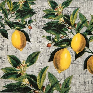 Tovaglioli di carta con rami di limone per decoupage e altri lavori artigianali