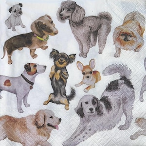 Könnte beinhalten: Eine Aquarell-Illustration von neun verschiedenen Hunderassen, darunter ein Dackel, ein Pudel, ein Chihuahua und ein Jack Russell Terrier. Die Hunde sind alle in verschiedenen Posen dargestellt, einige sitzen, einige stehen und einige liegen. Die Illustration ist in einem skurrilen Stil mit leuchtenden Farben und verspielten Details gehalten.