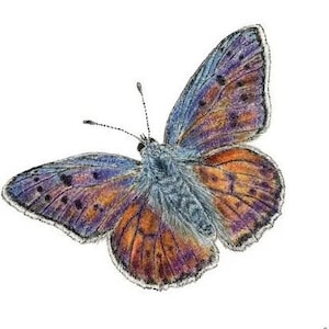 Single Butterfly Paper Napkins for Decoupage and other Crafts