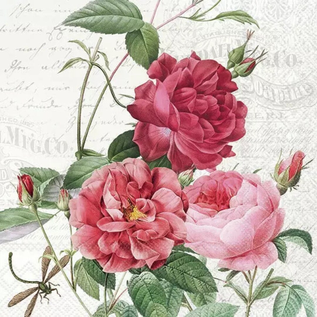 Romantic Pink Roses Paper Napkins for Decoupage and Other Crafts - Etsy