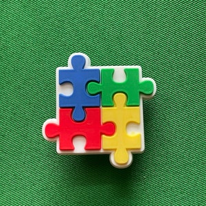 Autism awareness puzzle piece shoe charm