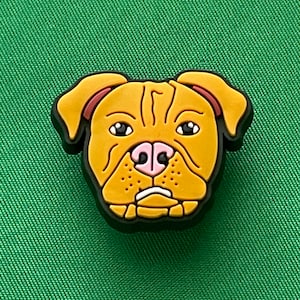 May include: A dog-shaped charm with a tan face, black eyes, and a pink nose. The charm has a black outline and is set against a green background. The dog's face has wrinkles and a slightly sad expression.