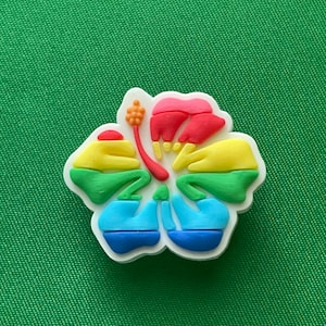 Rainbow Hibiscus Shoe Charm