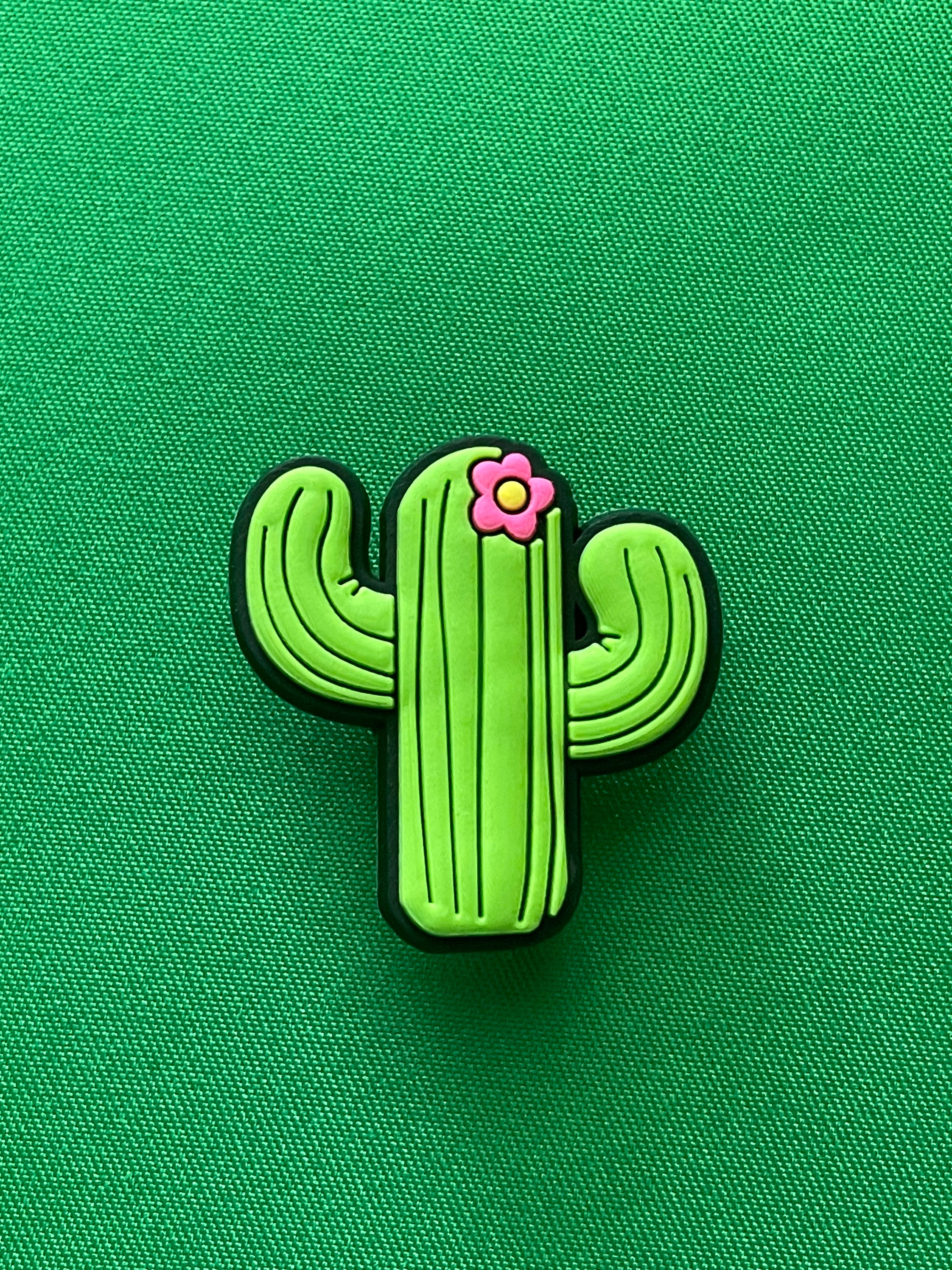 Cactus Jibbitz Etsy