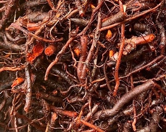 Madder Root Seeds / Natural-Dye Plant