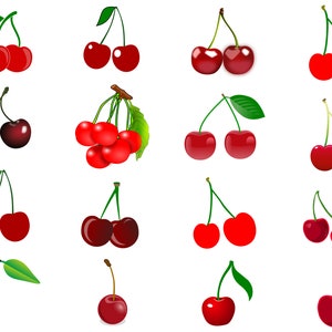 Cherry Svg, Cherries Svg, Cherry Svg Bundle, Cherry Clipart, Cherry Cut File, Fruit Svg, Summer Svg, Instant Download