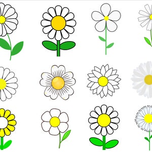 Daisy Svg, Daisy Svg Bundle, Daisy Clipart, Daisy Flower Svg, Daisy Vector, Daisy Logo, Floral Svg, Wildflower Svg