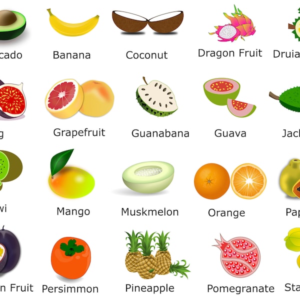 Tropical Fruits Svg , Tropical Fruits Svg Bundle , Fruits Svg, Fruits Clipart, Summer Fruits