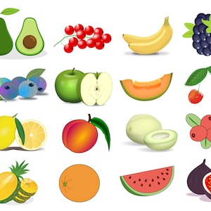 Fruits Svg, Fruits Svg Bundle, Apple, Avocado, Banana, Orange, Watermelon, Lemon, Honeydew, Pinapple, Fig, Peach, Cranberry, Blackberry