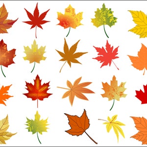 Fall Leaves Svg, Fall Leaves Svg Bundle, Leaves Svg, Fall Svg, Autumn Svg, Leaf Svg, Leaves Clipart, Maple Leaf Svg