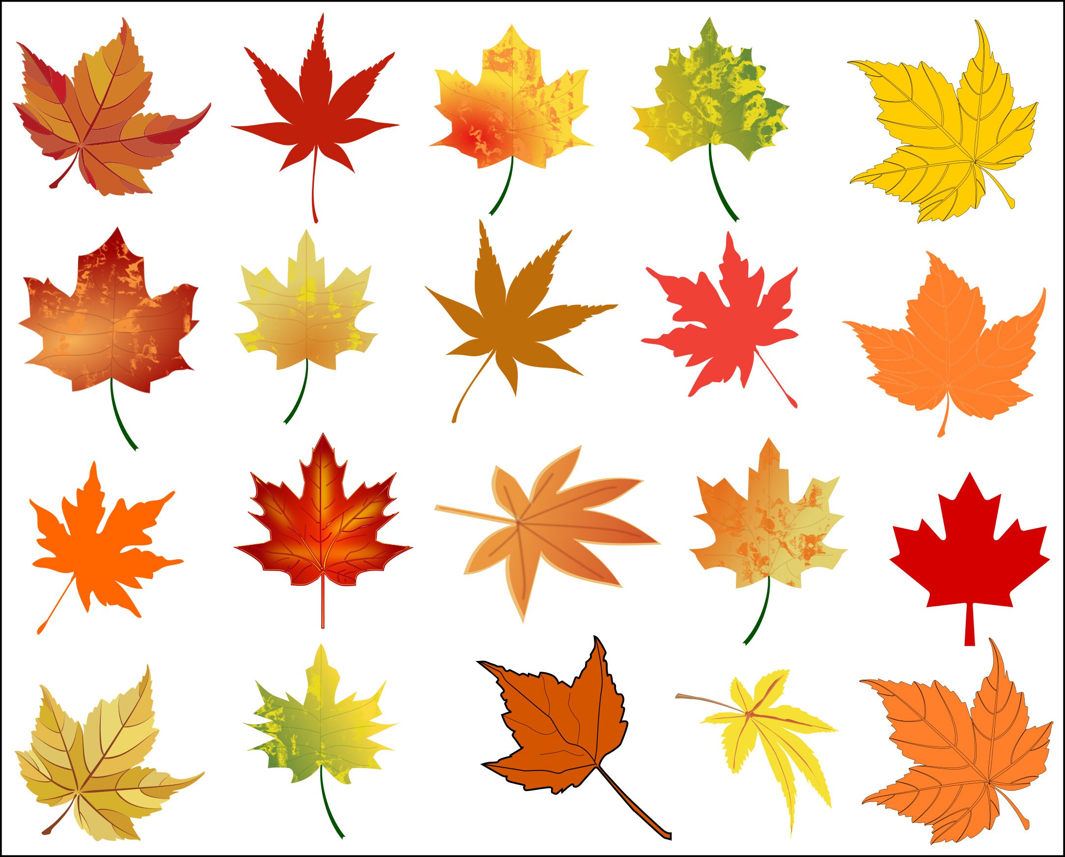 Fall Leaves Svg, Fall Leaves Svg Bundle, Leaves Svg, Fall Svg, Autumn