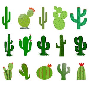 Cactus SVG, Cactus Svg Bundle, Cactus Cut File, Cactus Svg Files for Cricut, Variegated Cactus, Succulent Svg, Cactus Clipart