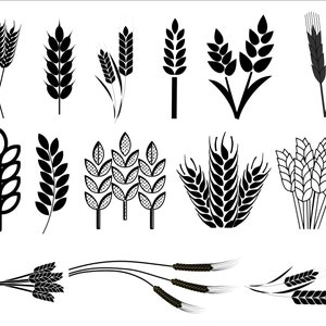 Wheat Svg, Wheat Svg Bundle, Wheat Clipart, Wheat Silhouette,  Wheat Vector, Grain Svg, Harvest Svg- Buy 2 Get 1 FREE