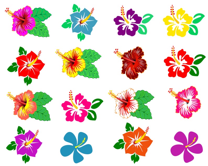 Hibiscus Svg, Hibiscus Flower Svg, Hawaiian Flower, Hibiscus Clipart