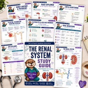 May include: A collection of educational study guide pages titled The Renal System Study Guide, featuring illustrations of an otter in scrubs, anatomical diagrams of kidneys, nephrons, and charts detailing renal medications, electrolytes, and GFR levels.
