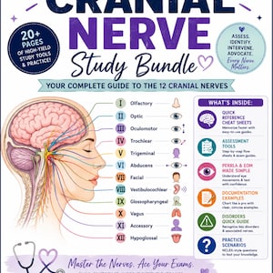 Cranial Nerve Study Guide - Etsy