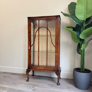 May include: A dark wooden display cabinet with glass panels and shelves. The cabinet features curved legs and a decorative interior. A small tassel hangs from the door. A large green plant in a grey pot is positioned to the right of the cabinet.