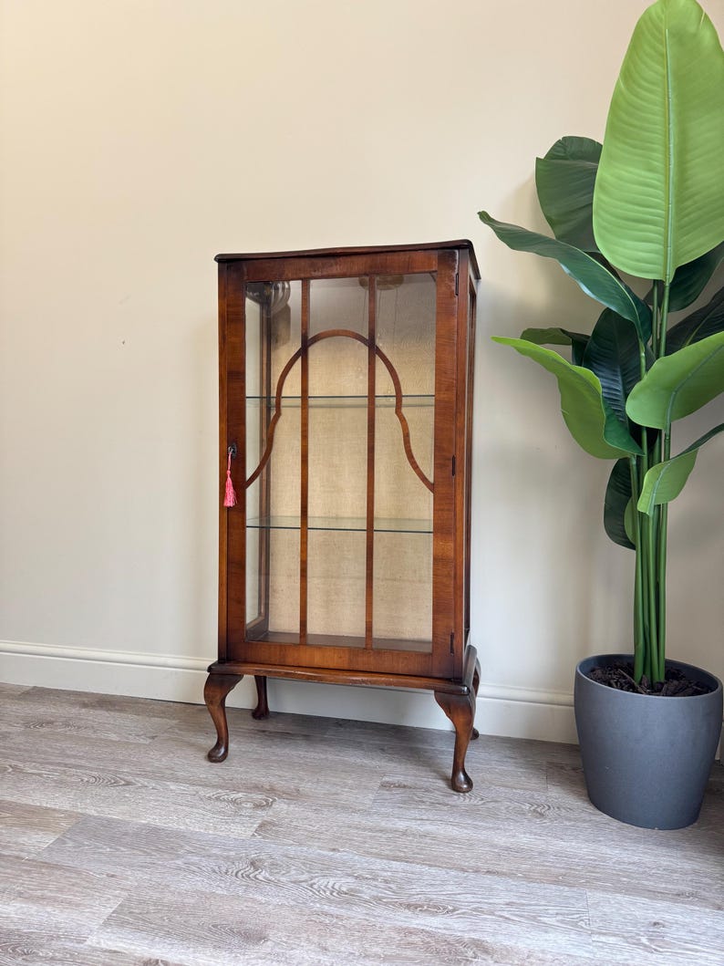 May include: A dark wooden display cabinet with glass panels and shelves. The cabinet features curved legs and a decorative interior. A small tassel hangs from the door. A large green plant in a grey pot is positioned to the right of the cabinet.