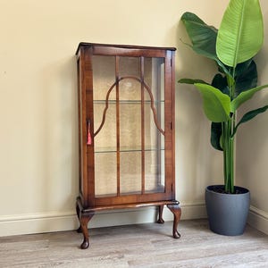 May include: A traditional wooden display cabinet with glass panels and shelves. The cabinet is finished in a dark brown stain, featuring decorative elements and curved legs. A red tassel adorns the door. A large green plant in a grey pot is beside the cabinet.