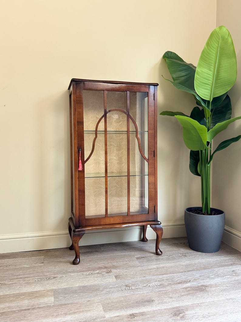 May include: A traditional wooden display cabinet with glass panels and shelves. The cabinet is finished in a dark brown stain, featuring decorative elements and curved legs. A red tassel adorns the door. A large green plant in a grey pot is beside the cabinet.