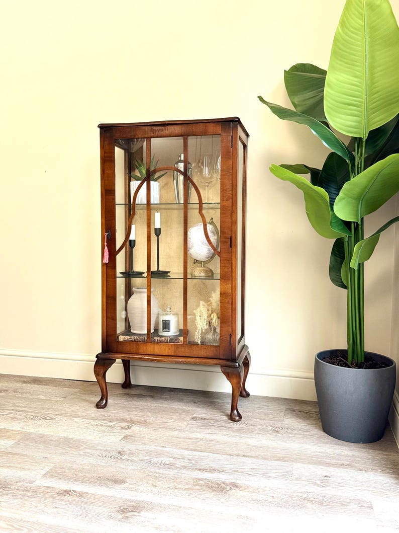 May include: A vintage wooden display cabinet with glass panels, showcasing decorative items. The cabinet is a rich brown hue, with curved legs. Inside are candles, a globe, and a vase. A large potted plant is to the right.