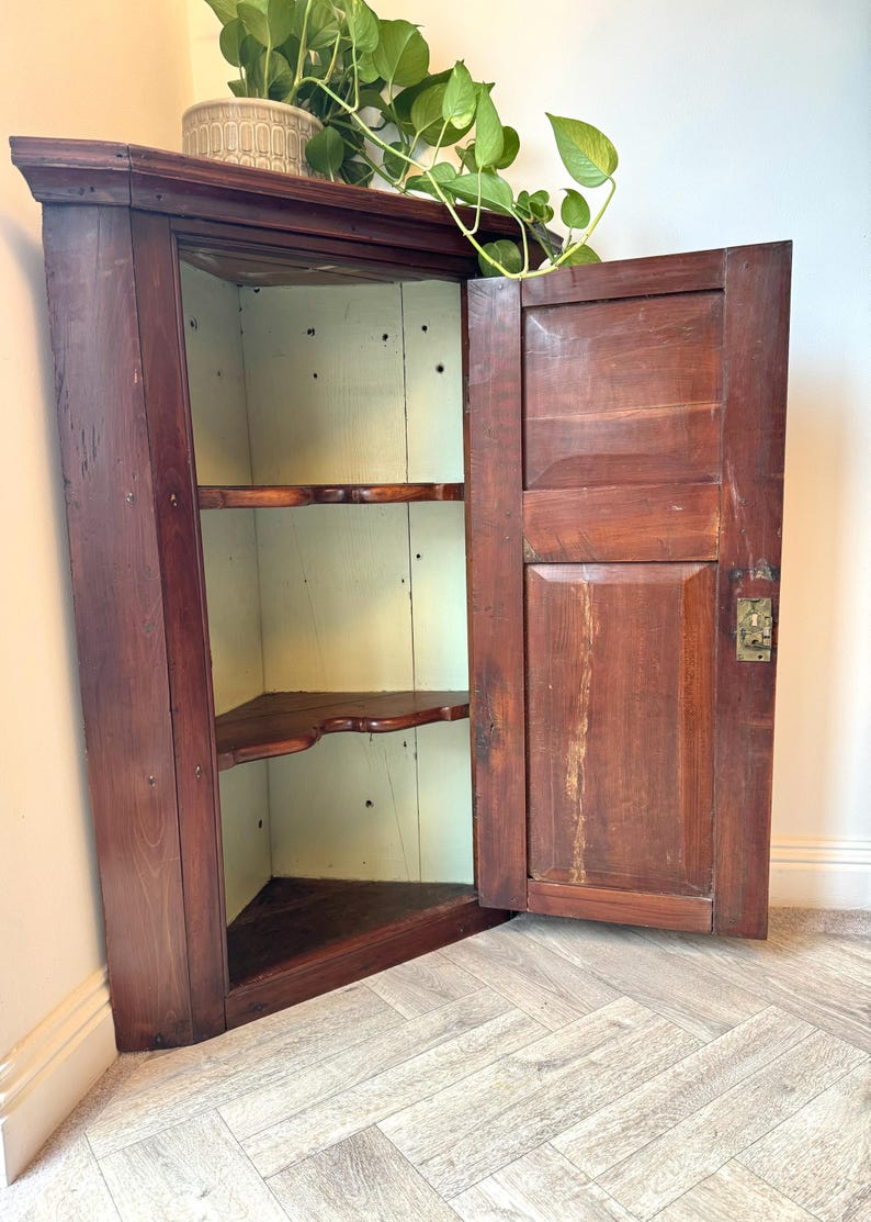 Vintage Panel Door Corner Wall Hanging Shelving Dark