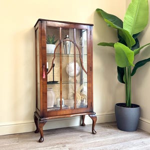 May include: A dark wood display cabinet with glass panels, containing various ornaments. The cabinet features curved legs and a patterned backing. Inside are a globe, a vase, and other decorative items. A large potted plant stands beside the cabinet.