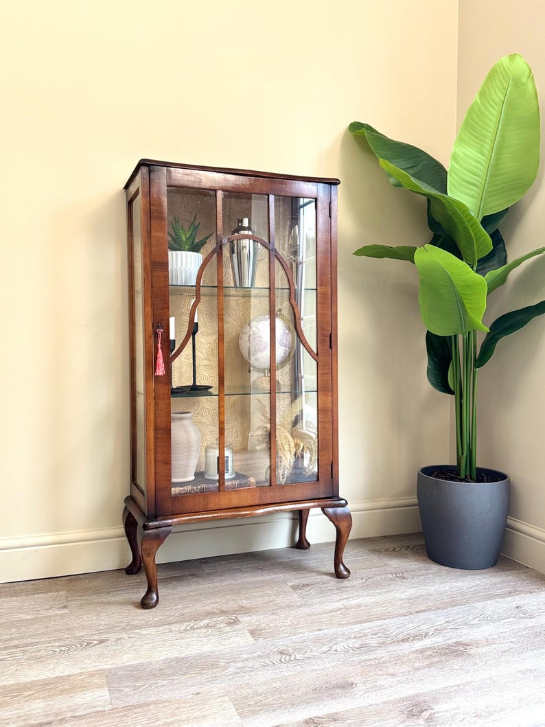 May include: A dark wood display cabinet with glass panels, containing various ornaments. The cabinet features curved legs and a patterned backing. Inside are a globe, a vase, and other decorative items. A large potted plant stands beside the cabinet.