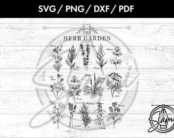 El jardín de hierbas svg, png, dxf, pdf / hierbas svg / especias svg / dibujado a mano svg / botánico svg / pulgar verde svg / camiseta svg / planta svg