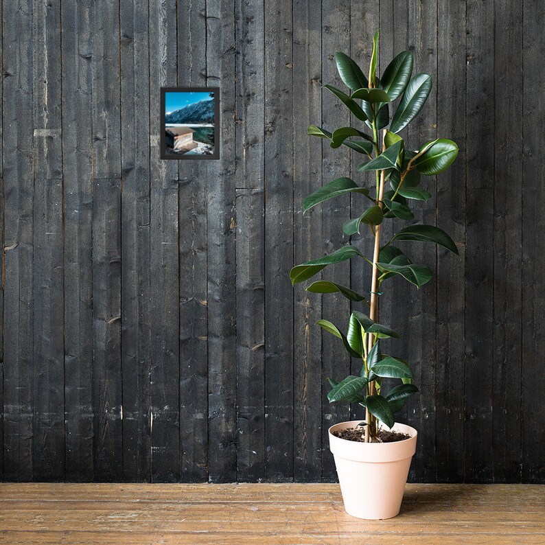 Puede incluir: Una fotograf&iacute;a enmarcada de un lago con monta&ntilde;as en el fondo. La foto est&aacute; colgada en una pared de madera oscura junto a una planta en maceta.