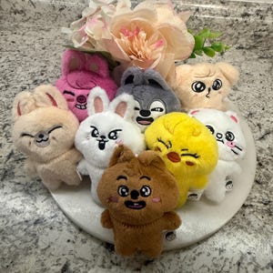 Stray Kids Pilot Skzoo Plush - Etsy