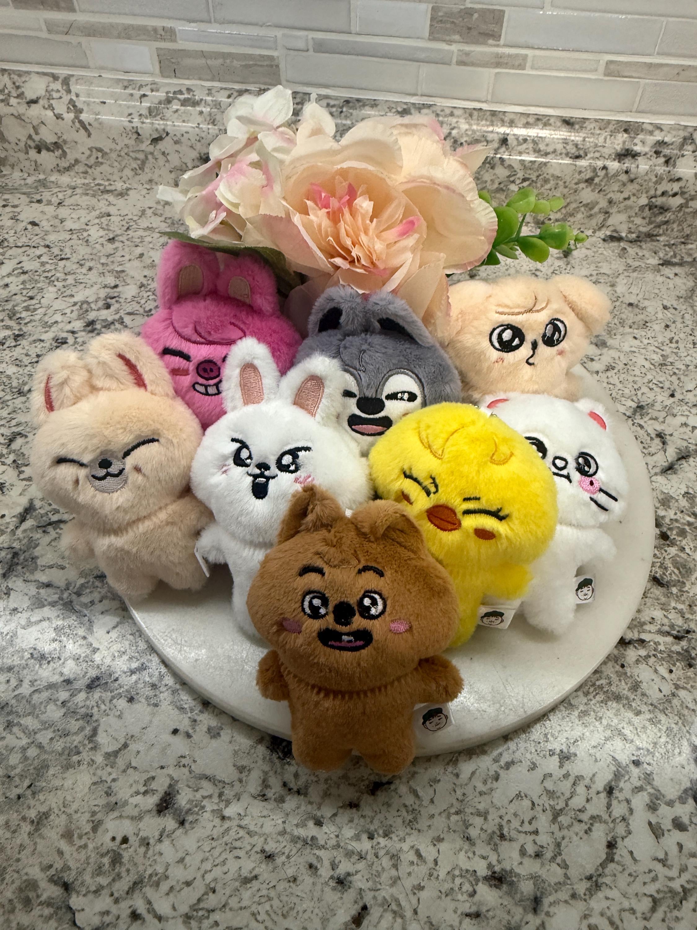 Stray Kids Pilot Skzoo Plush - Etsy