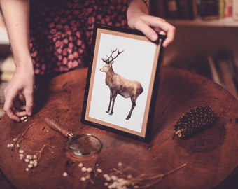 Cerf Card