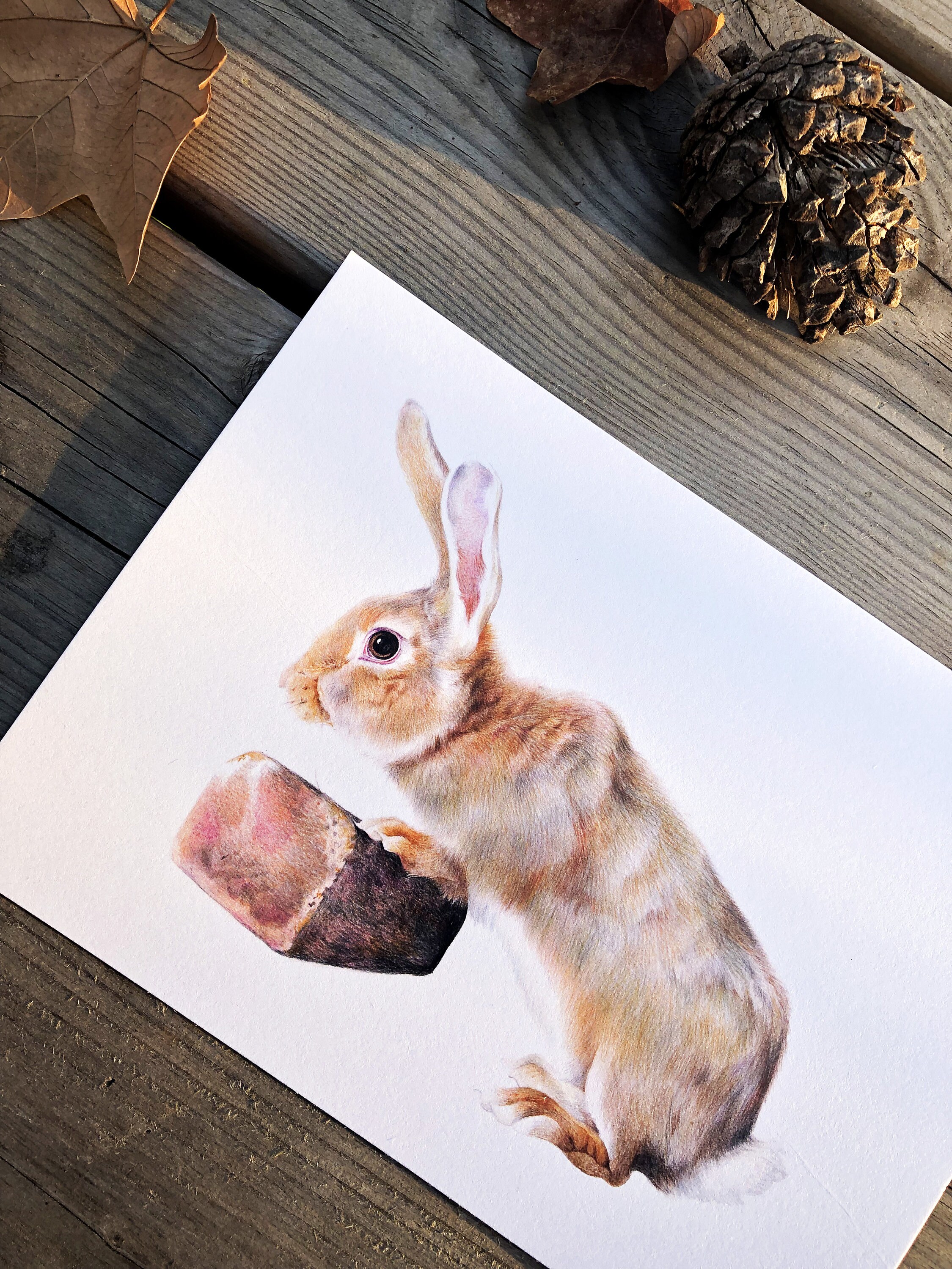 Carte Lapin | 4