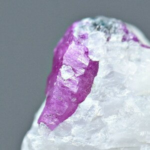May include: A close-up of a pink ruby crystal embedded in white quartz. The ruby has a sharp, pointed shape and a smooth, polished surface.