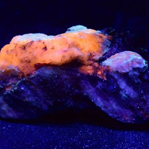 136g Rare Fluorescent Afghanite on Matrix from Badakhshan Afghanistan