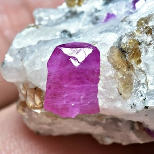 May include: A vibrant pink ruby crystal embedded in a white matrix of rock. The ruby has a sharp, faceted shape and a glossy finish.