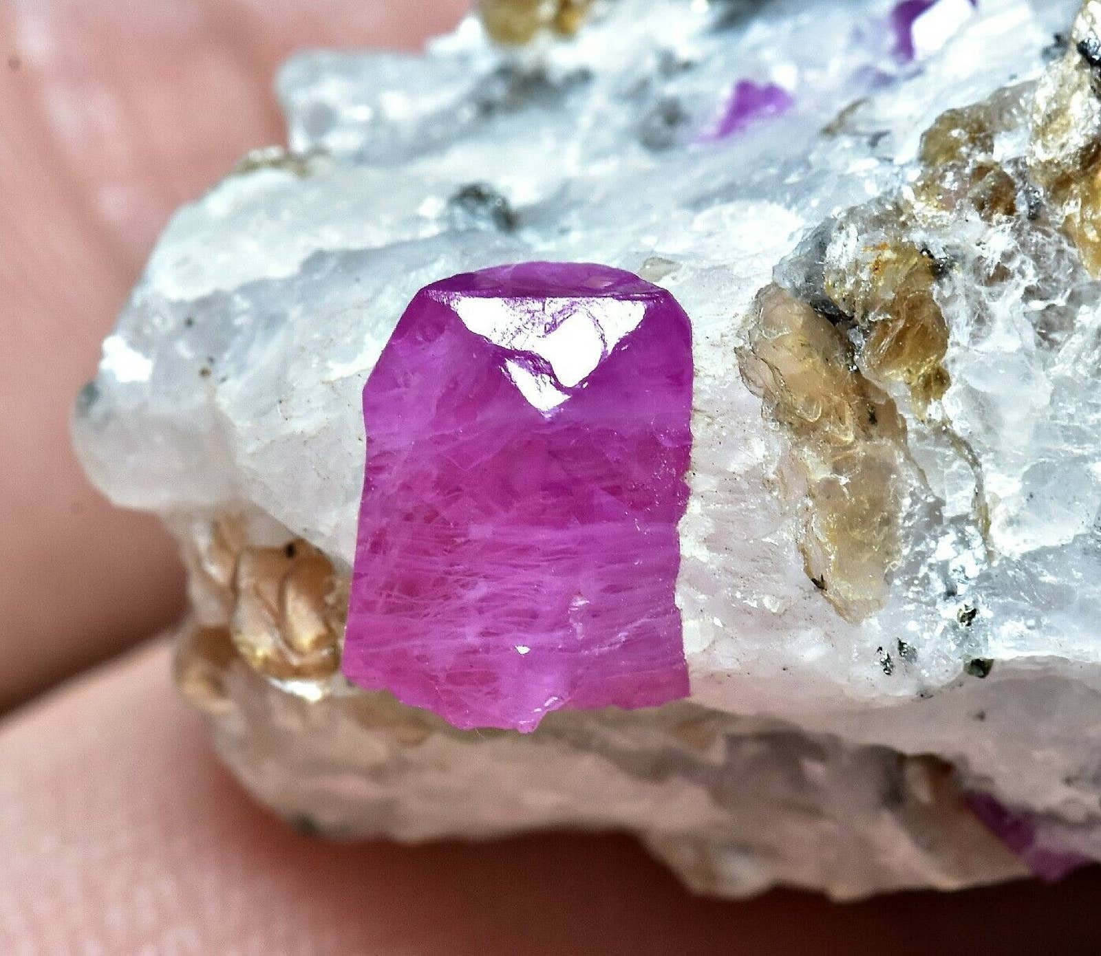 Lustrous Ruby Crystal with Phlogopite Mica Matrix - Afghanistan