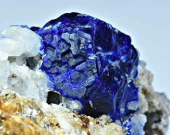 Fluorescent Minerals/Stuart L. Schneider