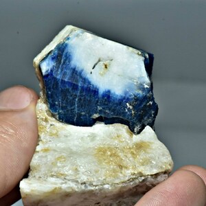 May include: A blue and white crystal specimen on a white matrix. The crystal is a sharp, faceted, and translucent blue with a white cap. The matrix is rough and textured.
