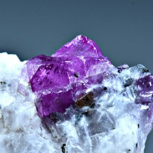 Puede incluir: Un gran cristal de rubí púrpura vibrante incrustado en una matriz de roca blanca. El rubí tiene una superficie rugosa y facetada y está rodeado de cristales blancos más pequeños.