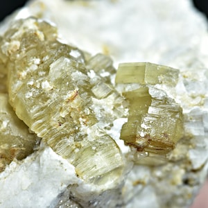 May include: Close-up of a cluster of light green, translucent crystals on a white, rough surface. The crystals have a striated, layered appearance.