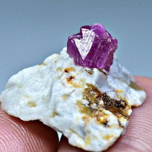 Può includere: Un cristallo di rubino rosa vibrante in cima a una matrice rocciosa bianca. Il rubino ha una forma affilata e multiforme e una finitura lucida.