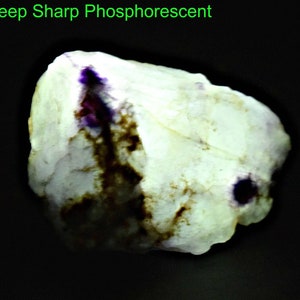 May include: A white, opaque, irregularly shaped rock with purple and brown markings. The rock is glowing under a blacklight, showing its phosphorescent properties.