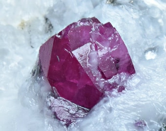 202 Carat Natural Terminated Top Ruby Crystal On Matrix From Afghanistan