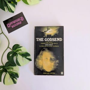 The Godsend by Bernard Taylor