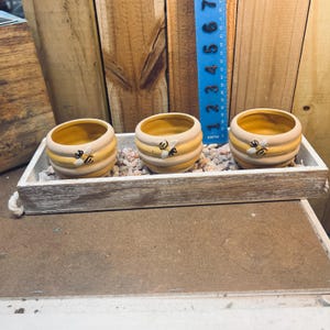 May include: Three ceramic beehive-shaped pots with yellow and cream stripes and small bee figures, arranged in a rectangular wooden tray filled with small stones. A blue ruler shows the pots are approximately 3 inches tall.